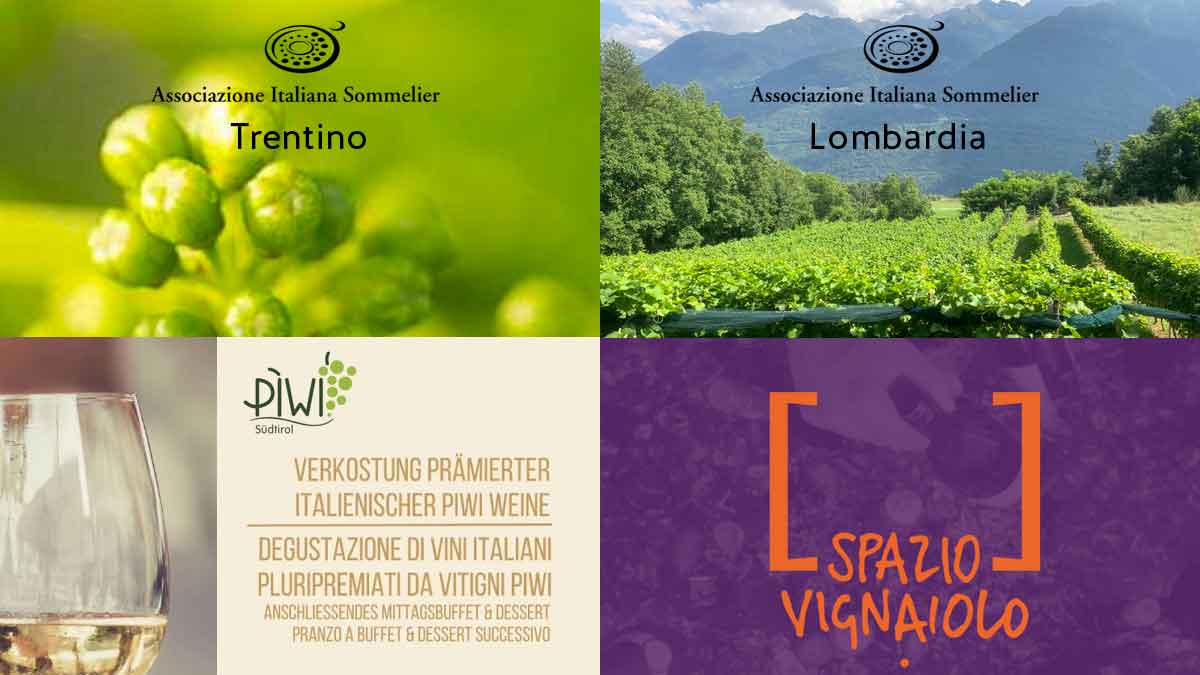 Degustazione - Wine Essential - Cascina Belmonte